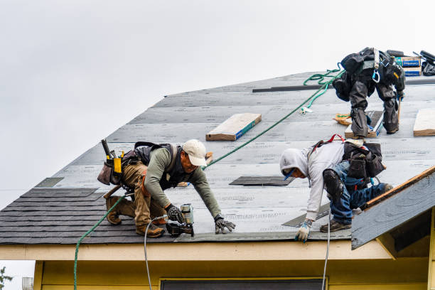 Professional Gutter Installation technician working in Nelson, GA